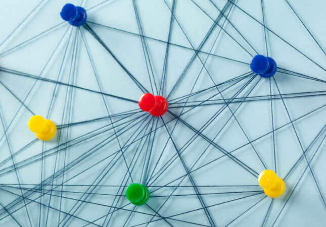 Network with pins
